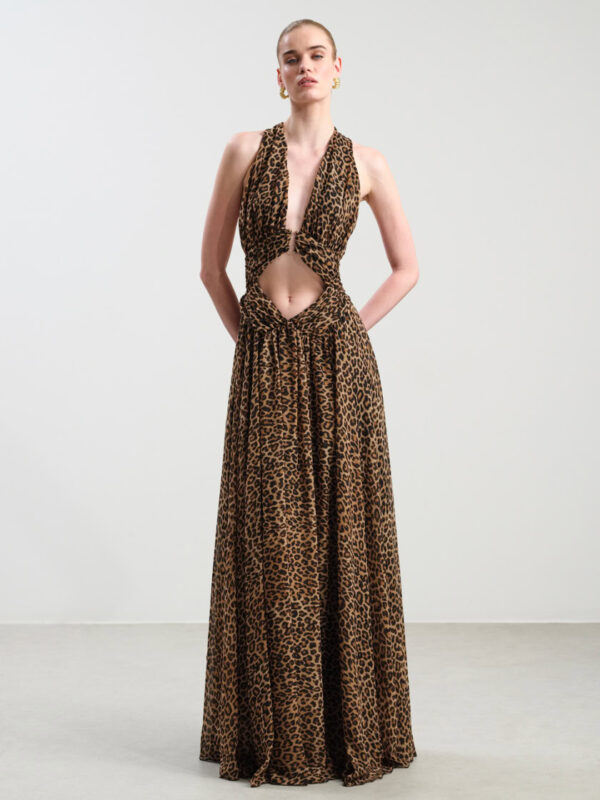 Cannes Leopard Print Dress