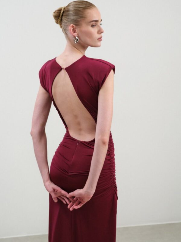 Gala Burgundy Dress